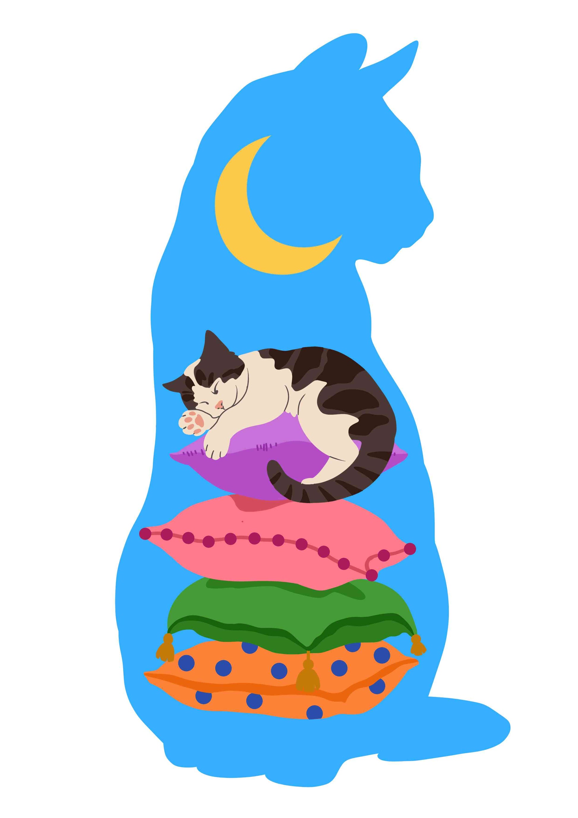 Cat on the Pillow