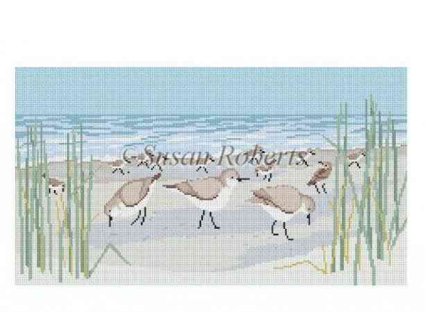 Sanderlings