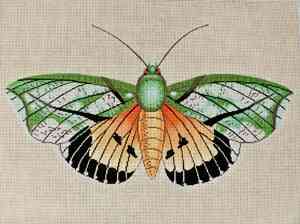 Moth - Orange, Green, and Black