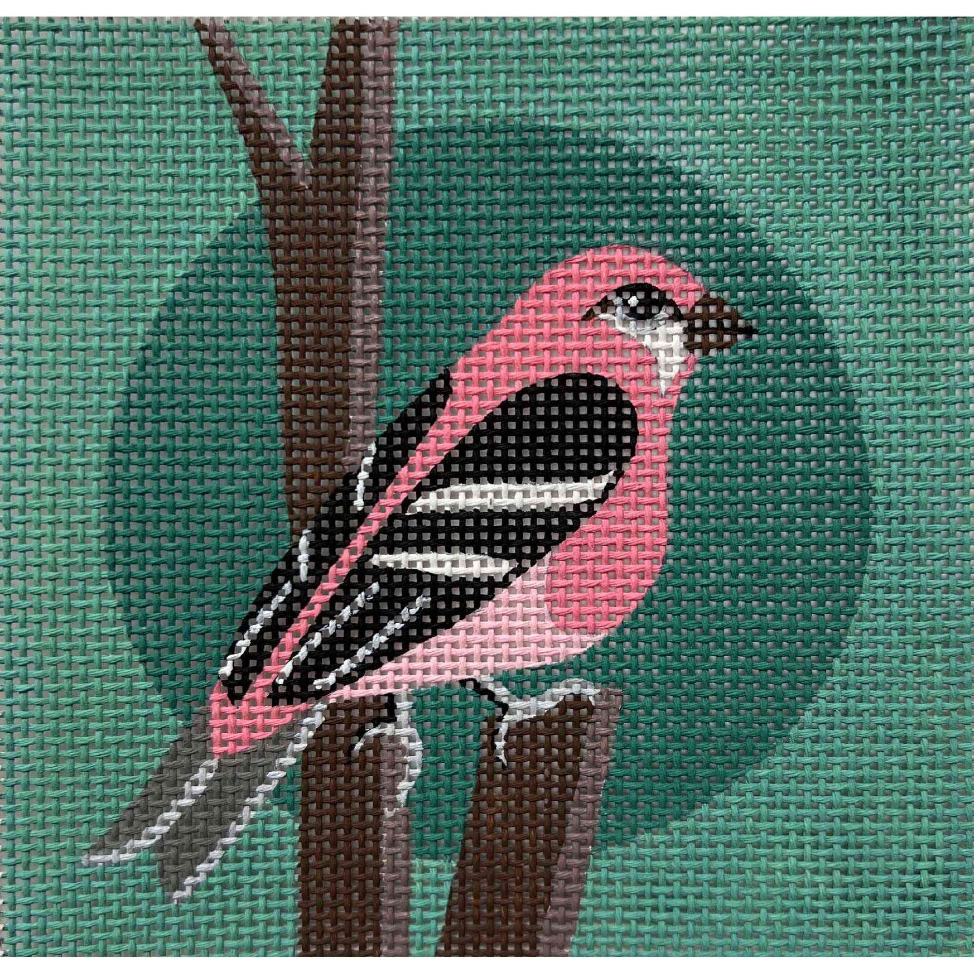 PINK BIRD ON TEAL