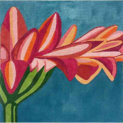 ORANGE GERBER DAISY