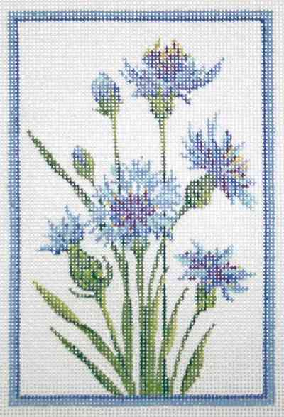 Germany Cornflower