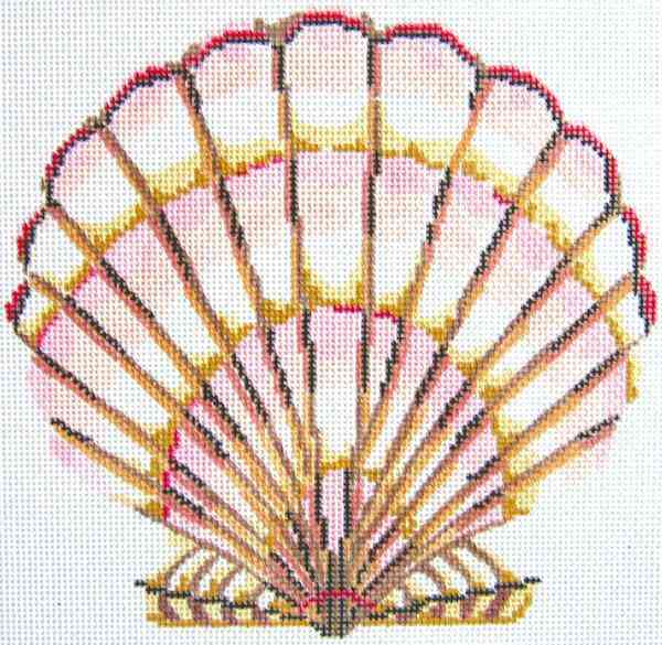 Scallop Shell