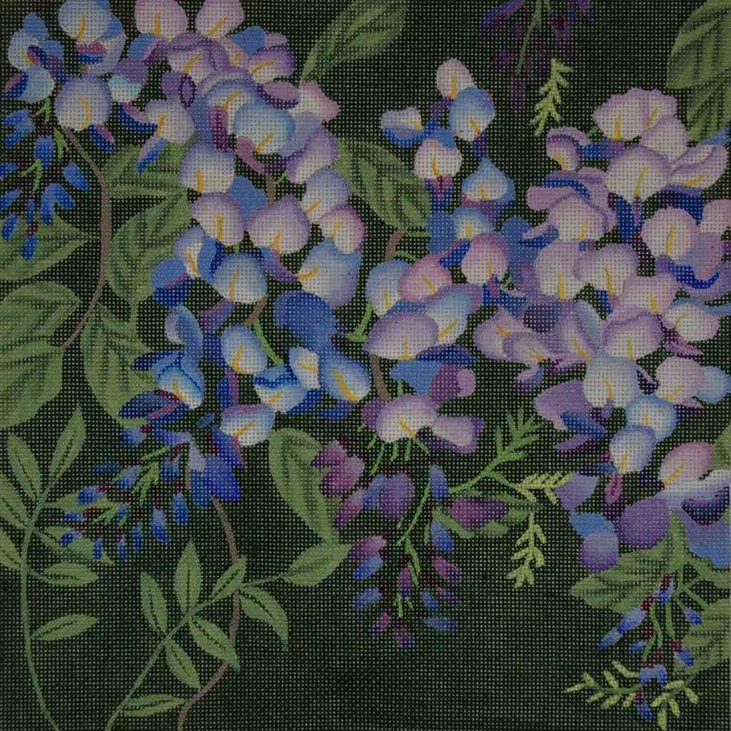 Giant Wisteria