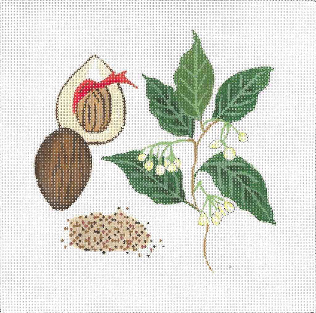 Botanical Spice Tile - Nutmeg