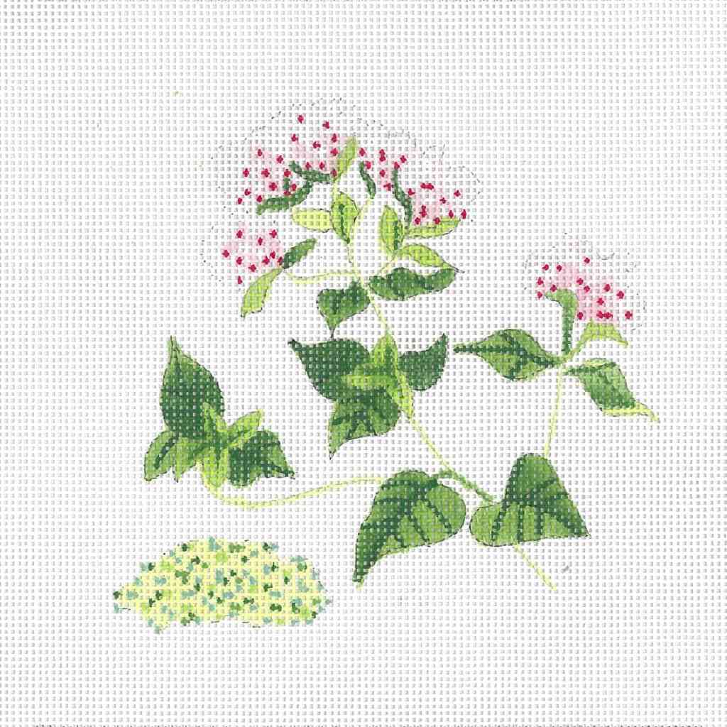 Botanical Spice Tile - Oregano