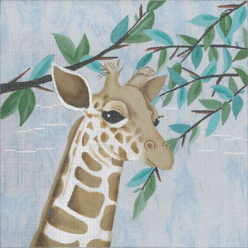 Young Giraffe