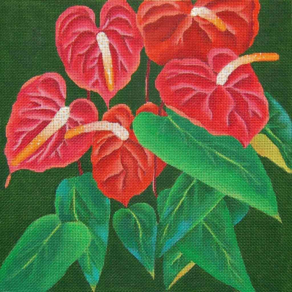 Giant Anthurium