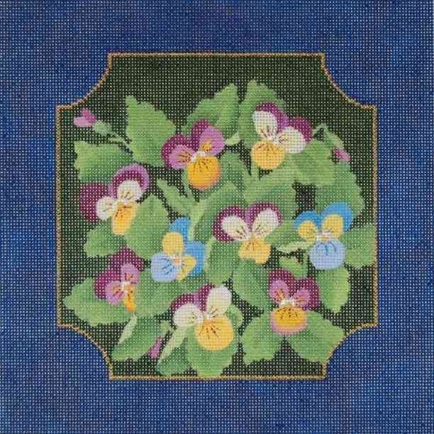 Viola