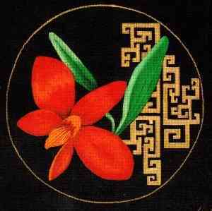 Ming Orchid - Coccinea