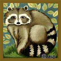 RACCOON