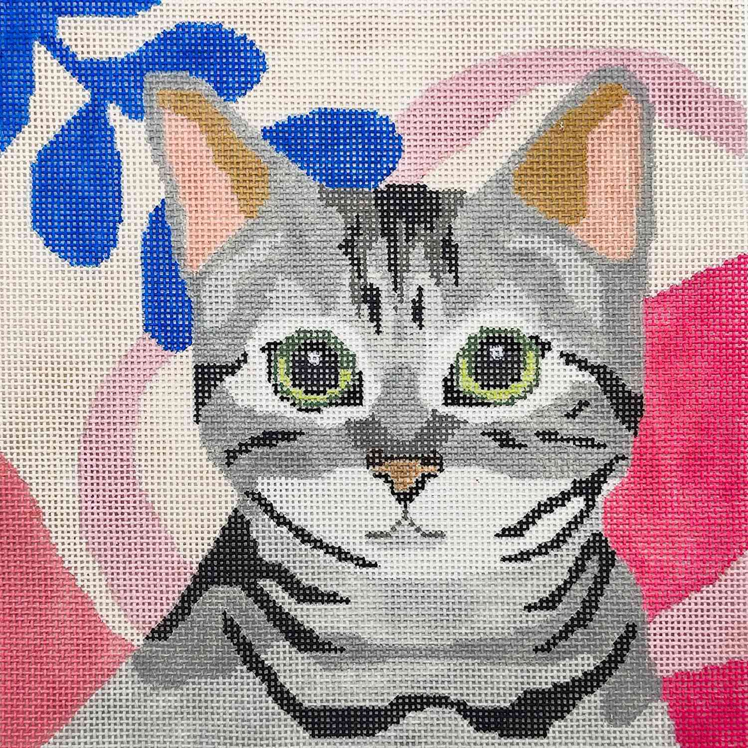 Cute grey cat