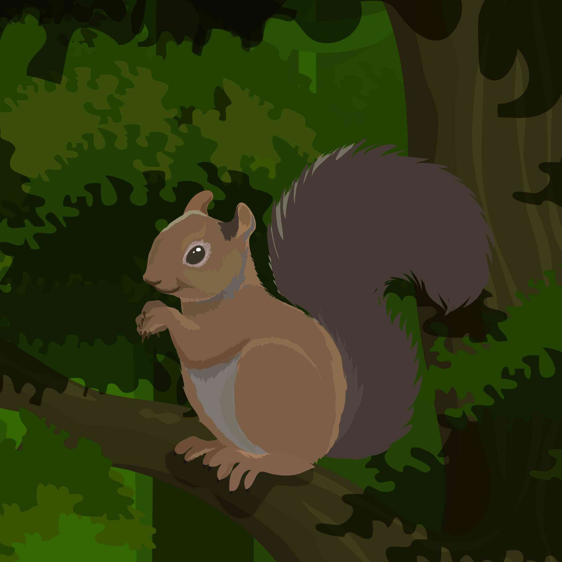 Squirrel