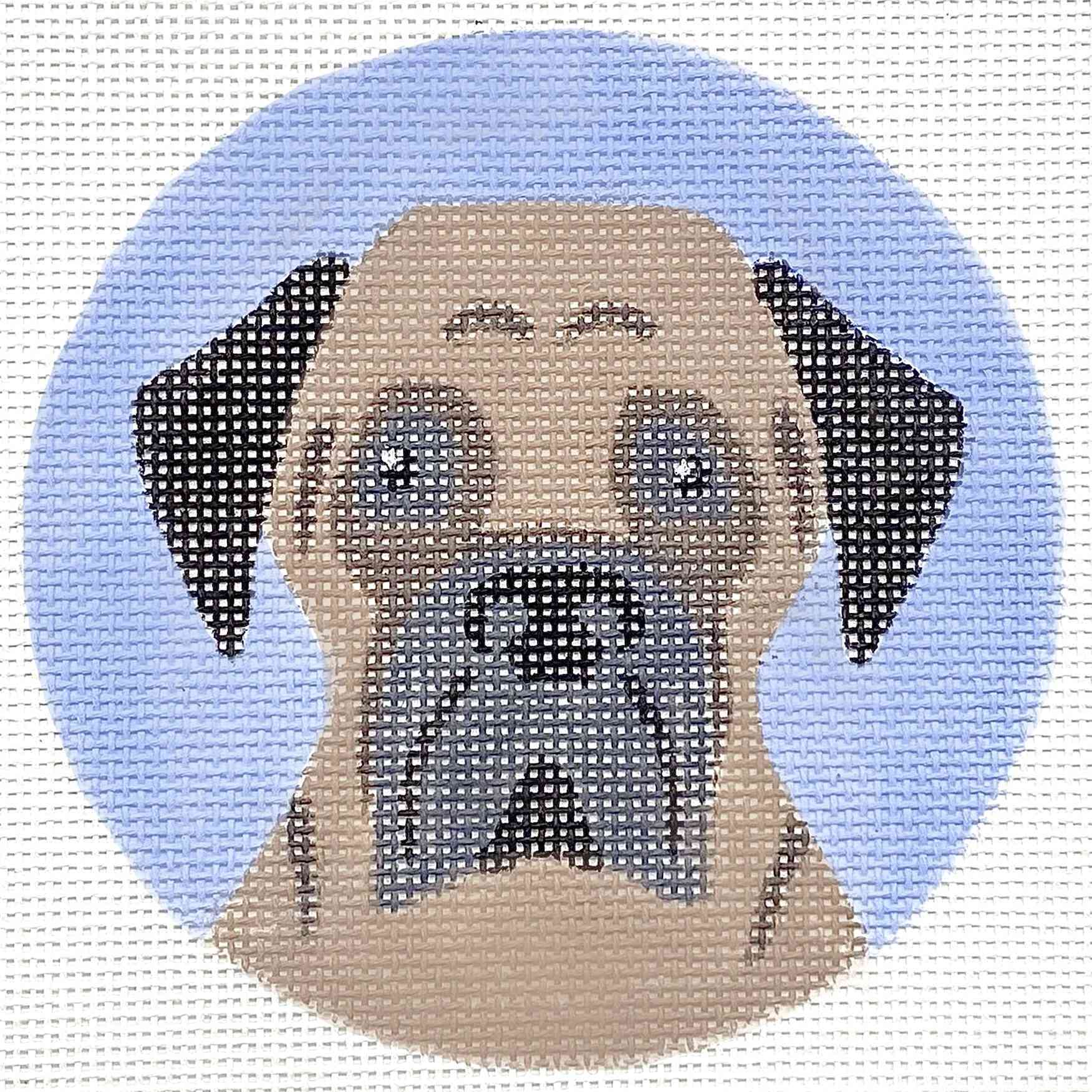 English Mastiff dog