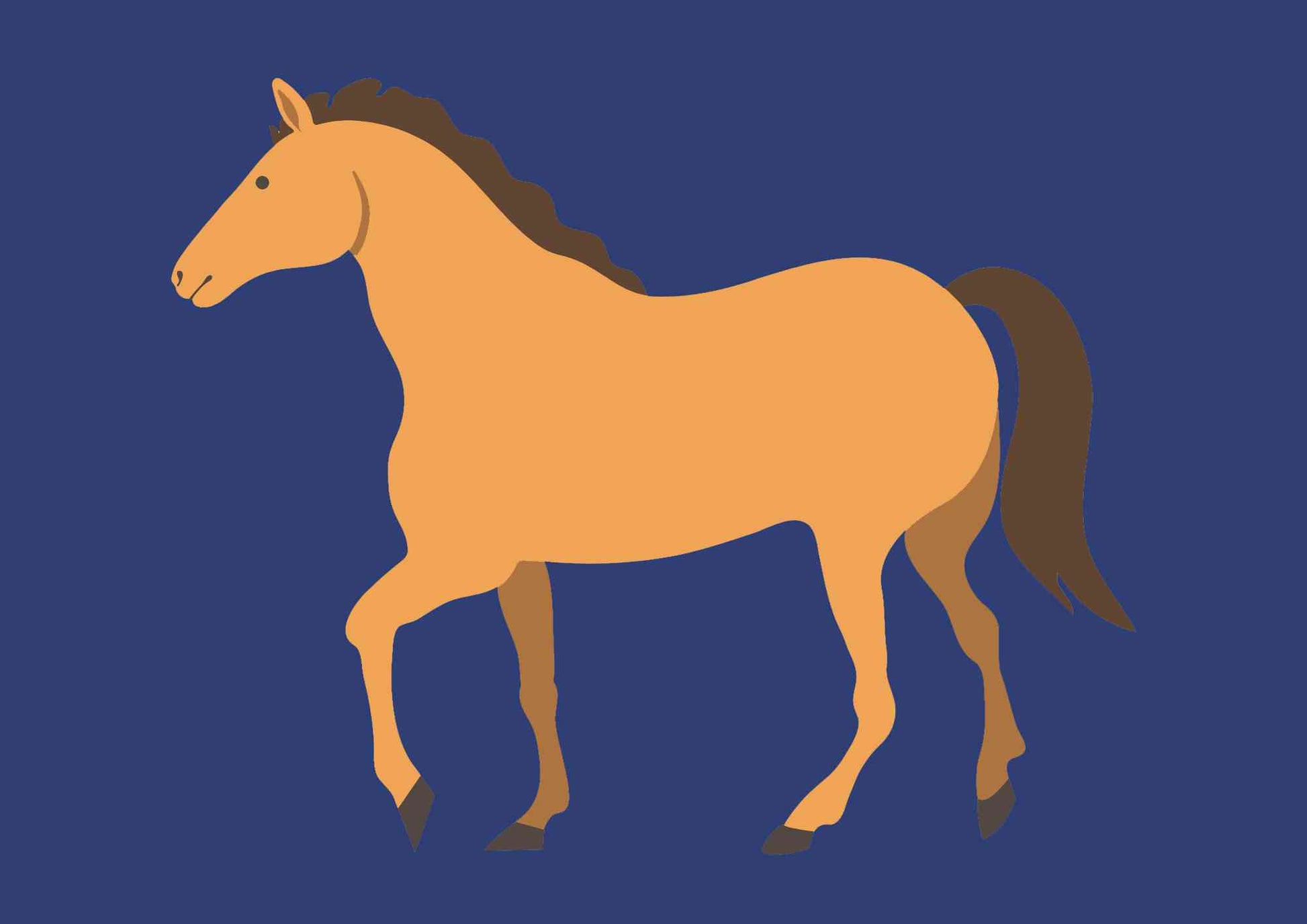 Elegant horse