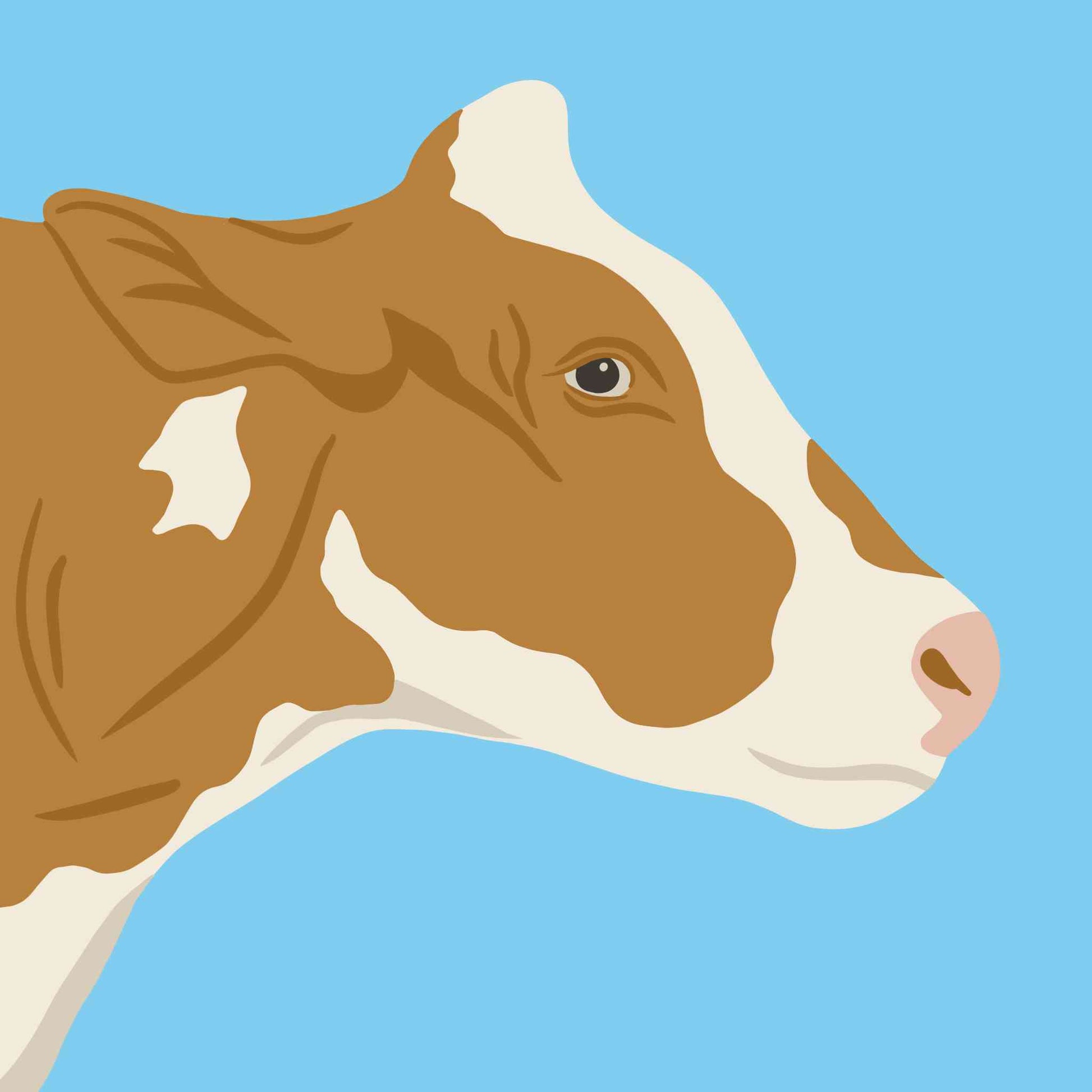 Brown Cow