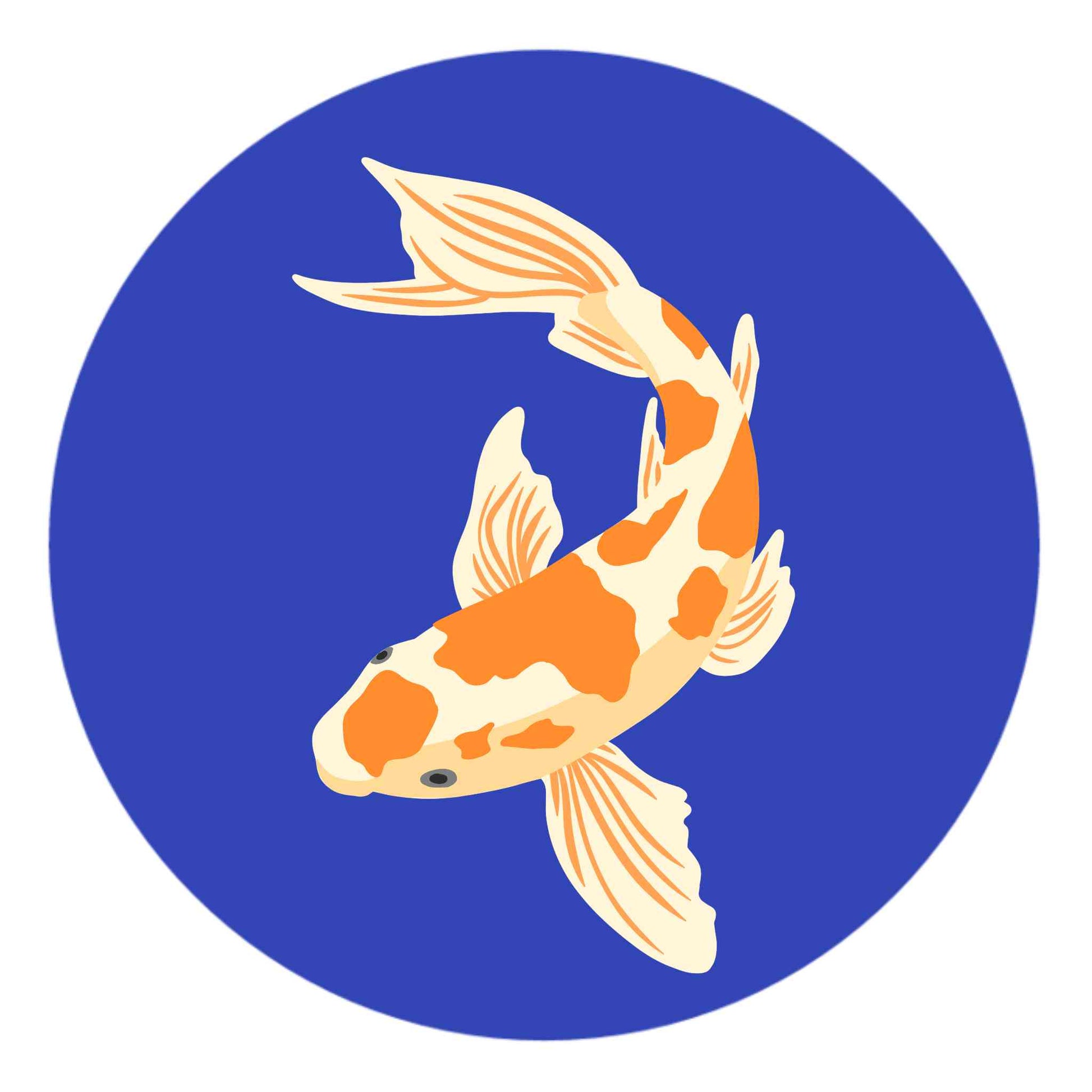 Koi Fish