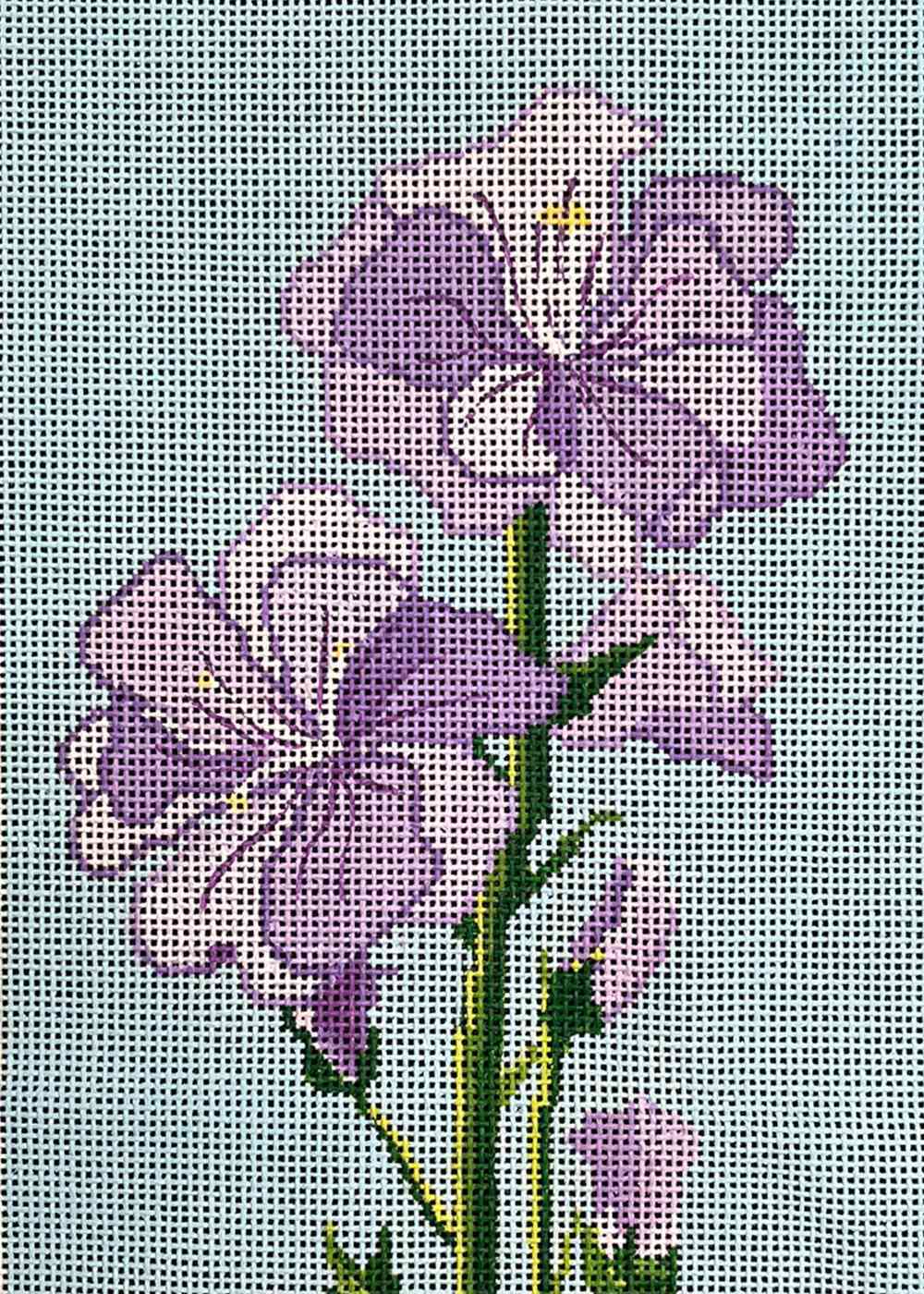 Violet