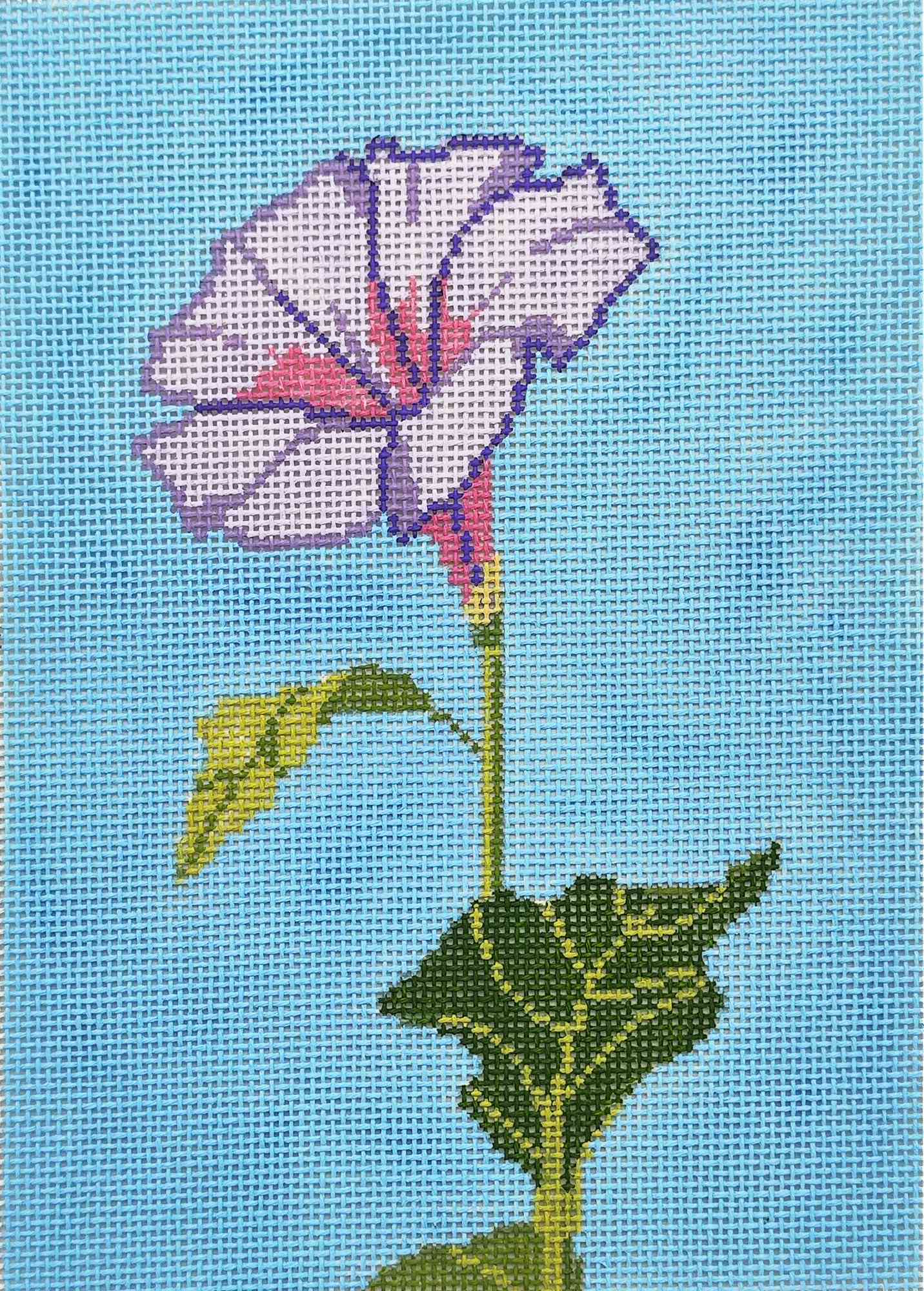 Petunia