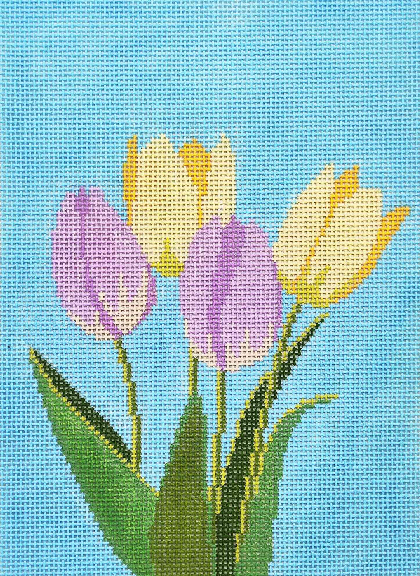 Tulip