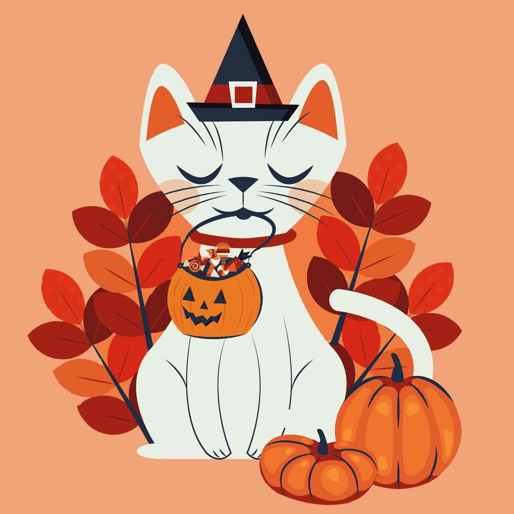 Feline Treats