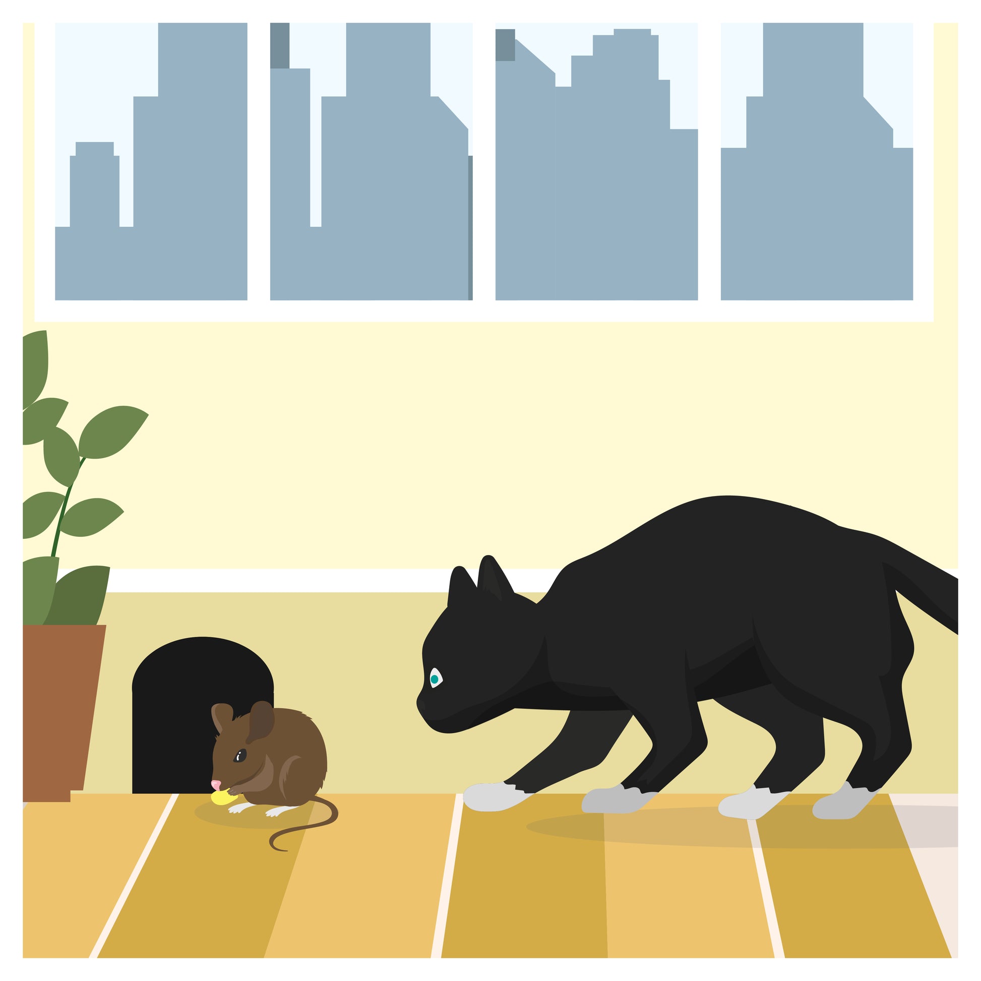 Cat and Mouse