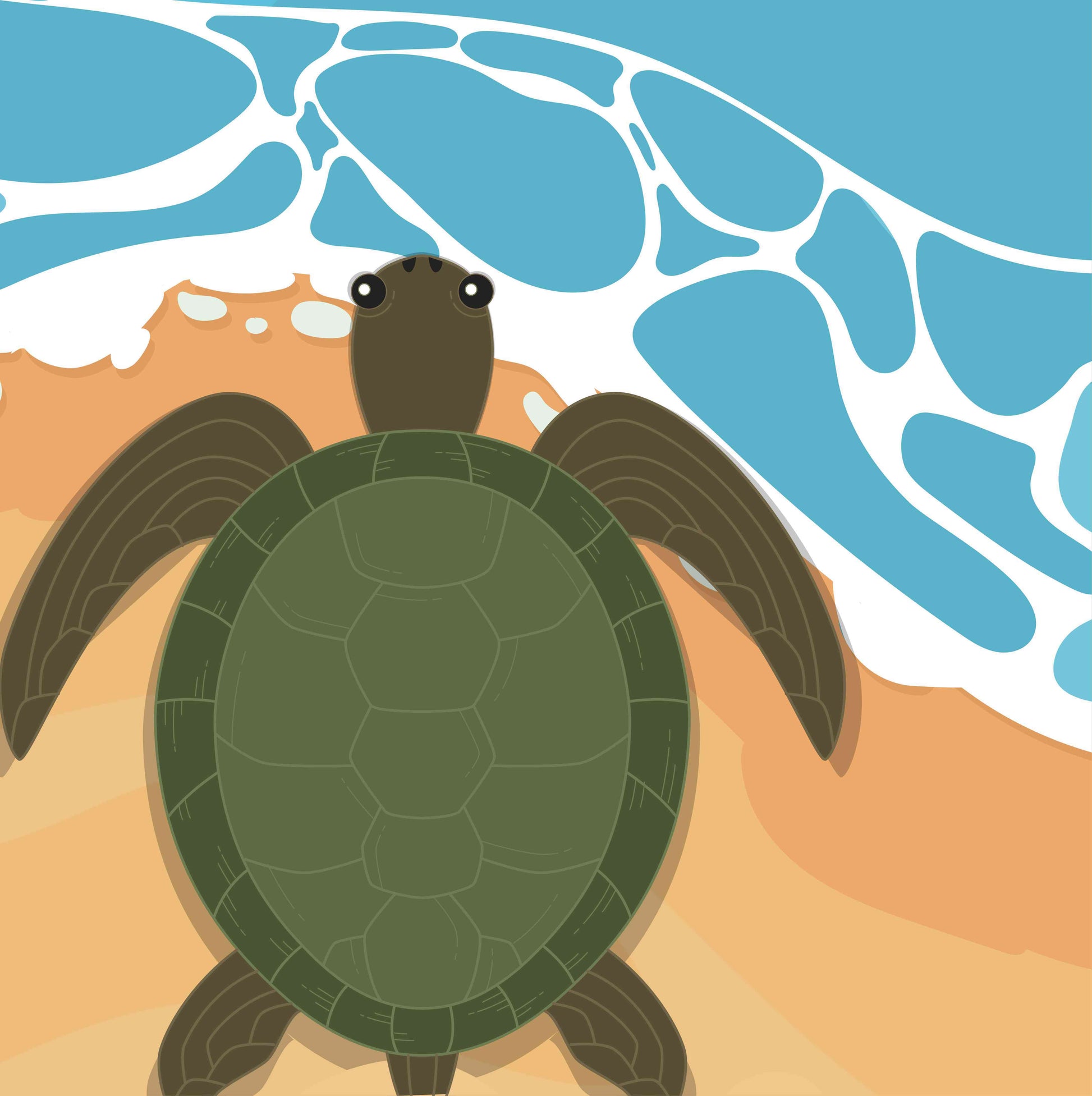 Turtle on the Beach