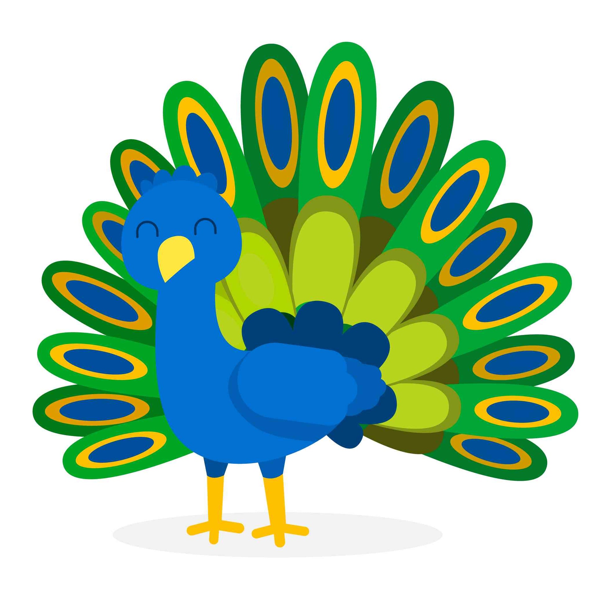 Smiling Peacock