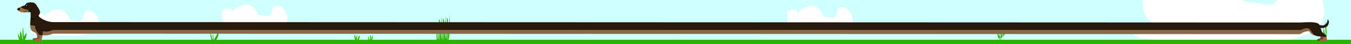Belt - A Very Long Dog