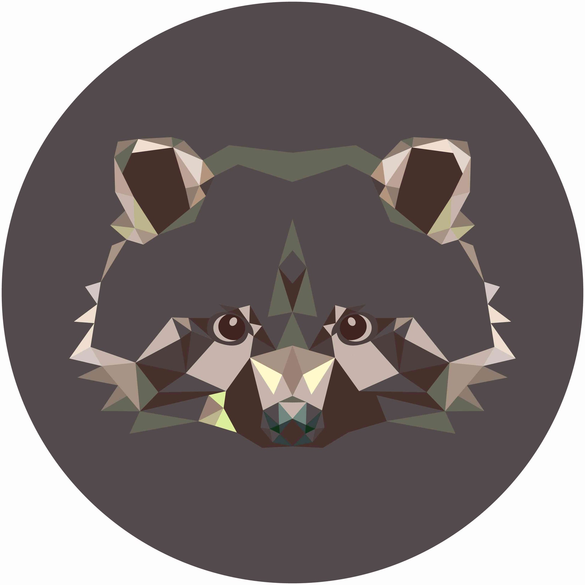 Polygon Racoon