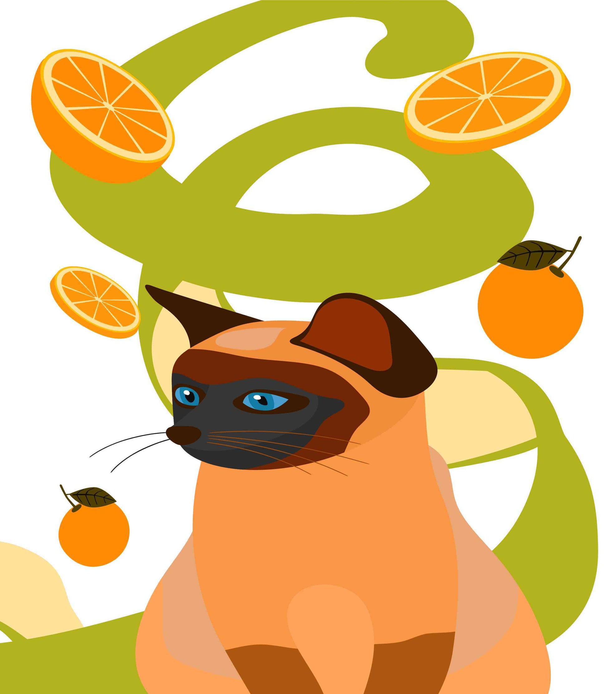 Orange Cat