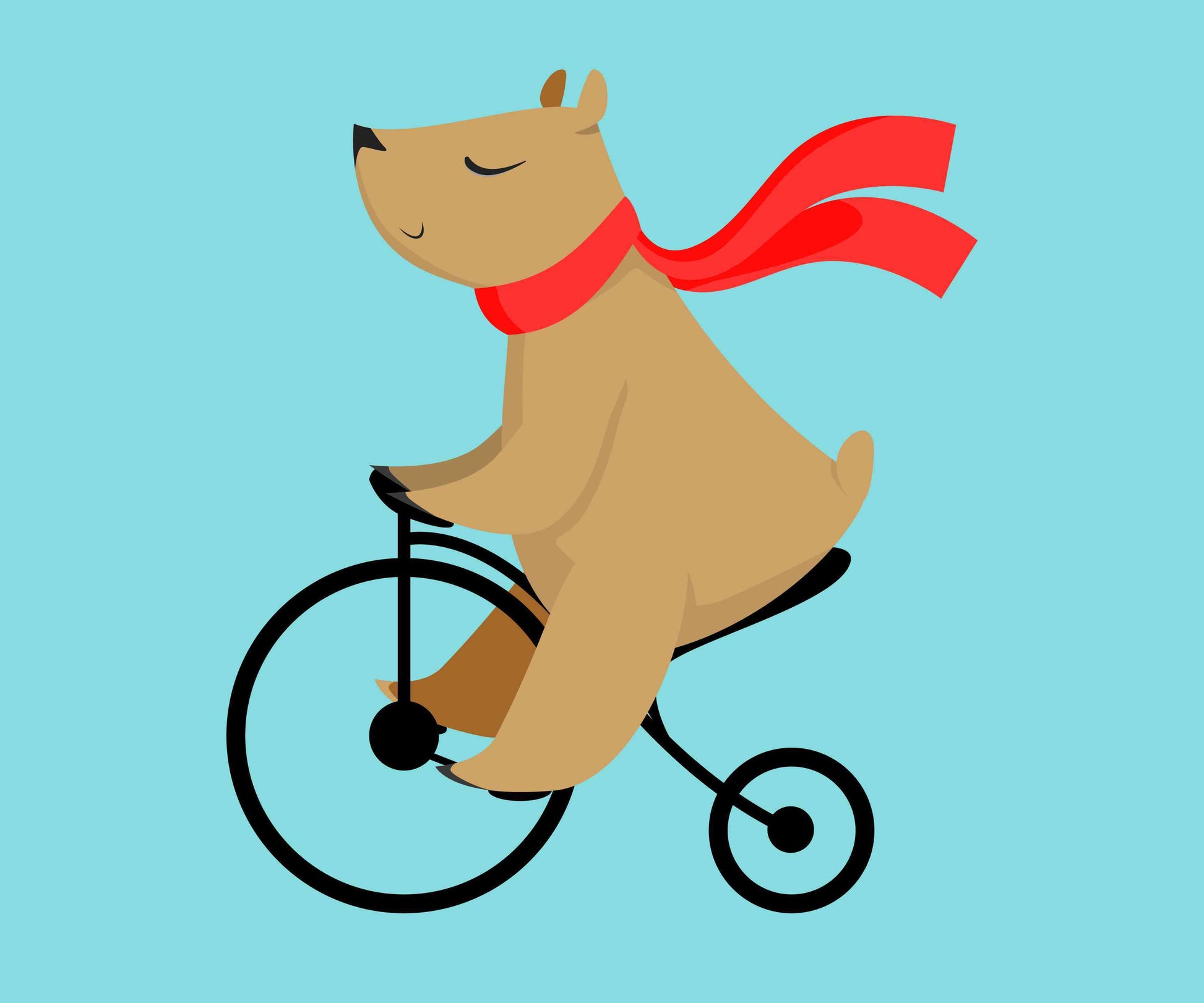 Bicycle Bear
