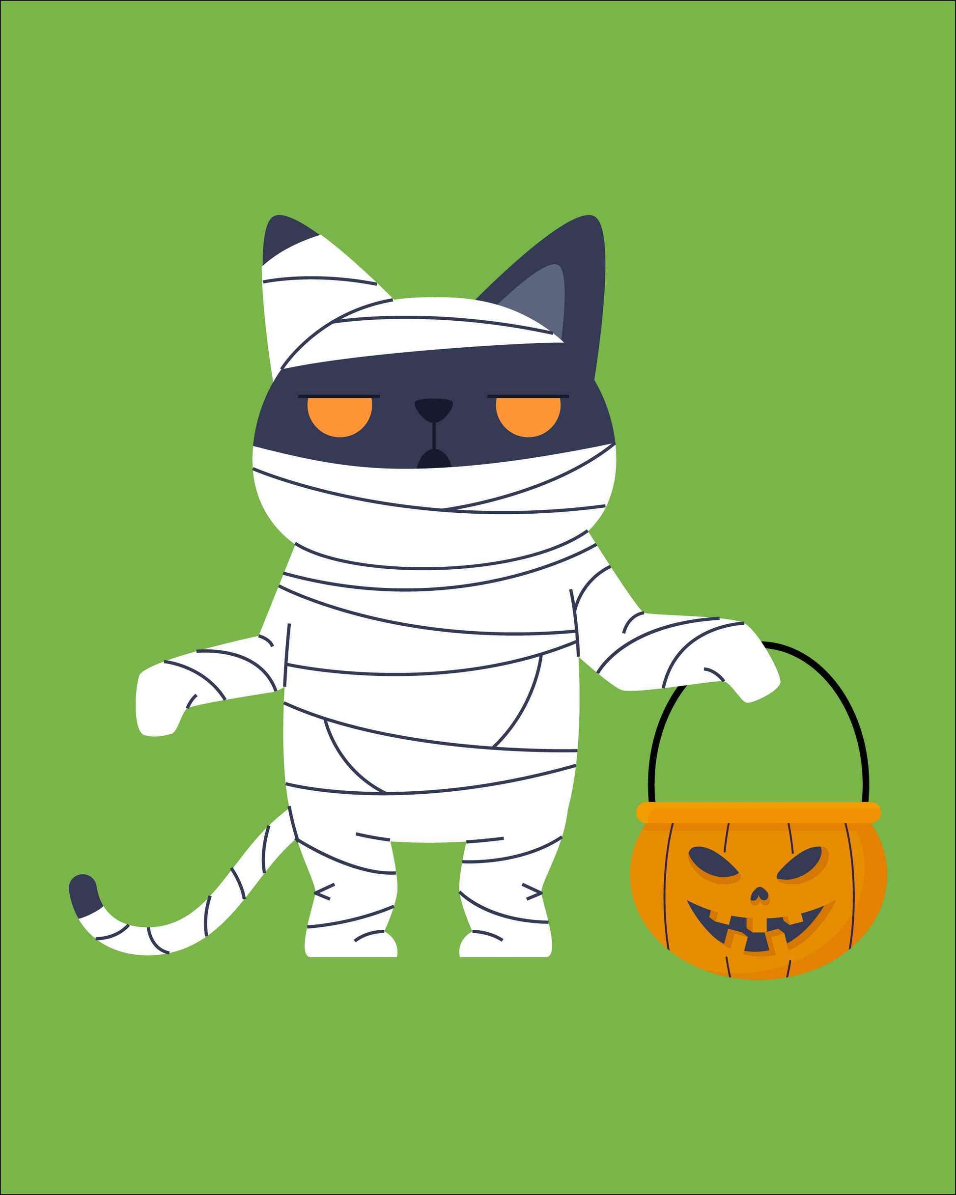 Mummy Cat