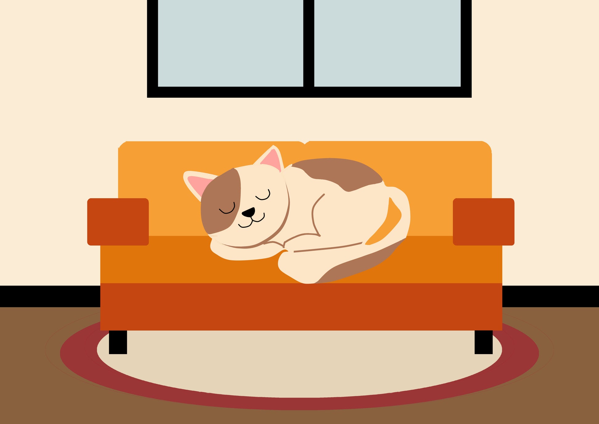Cat sleeping by day