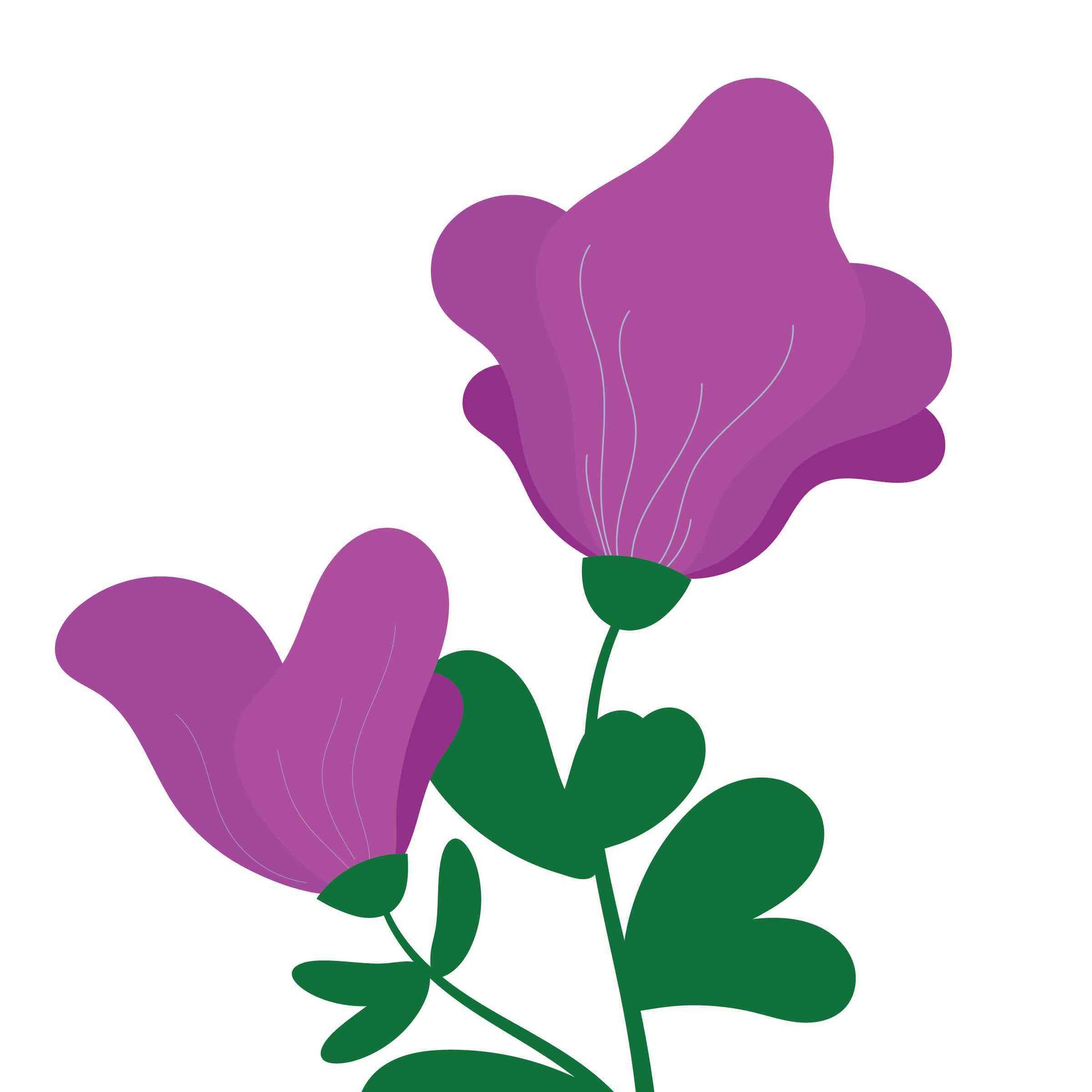 Pea in Purple