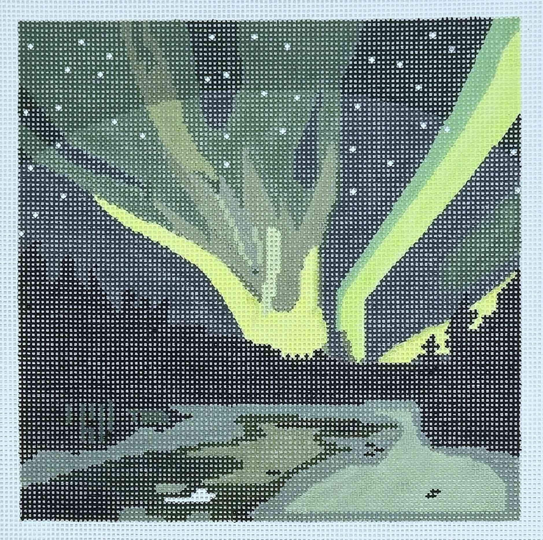 Northern Lights