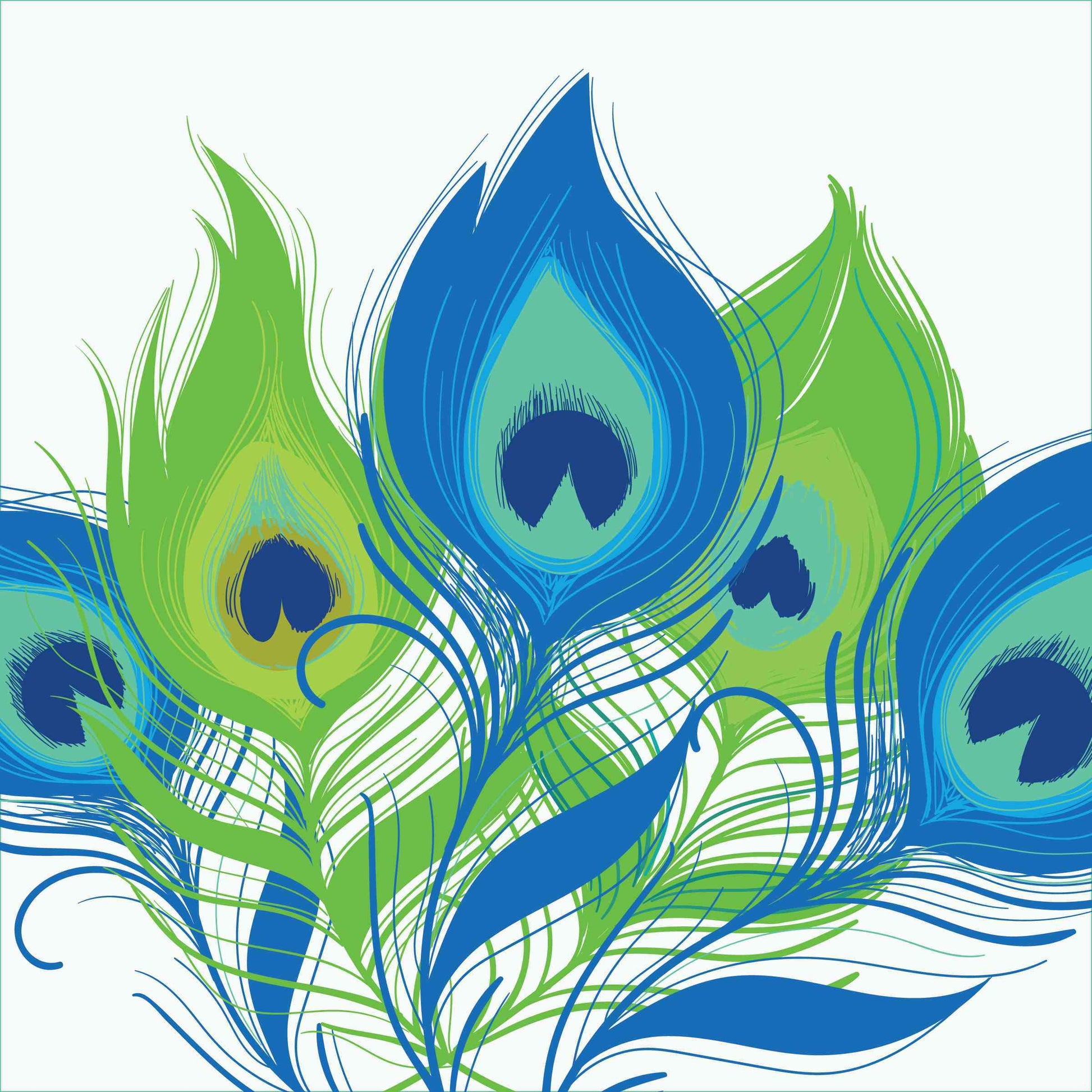 Peacock Feather