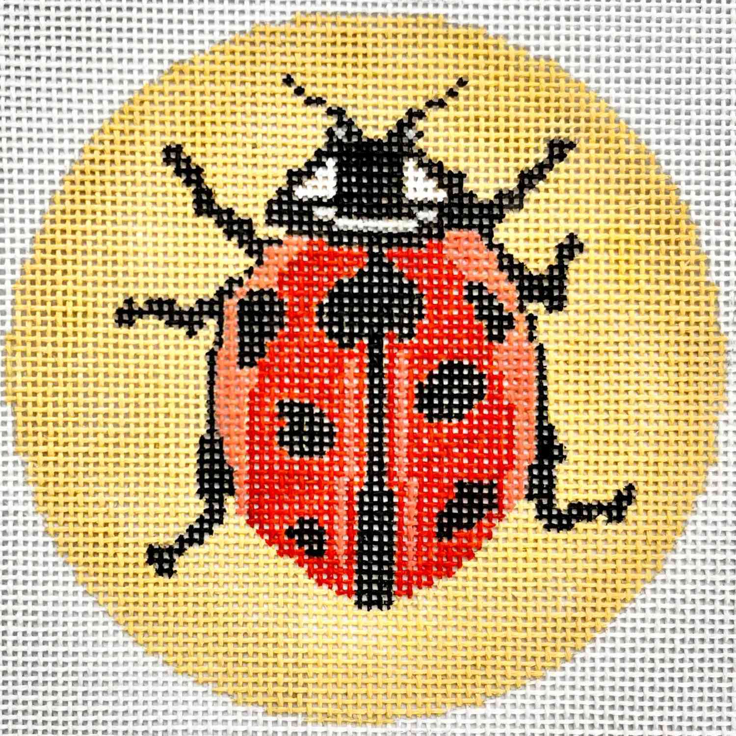 Lady Bug