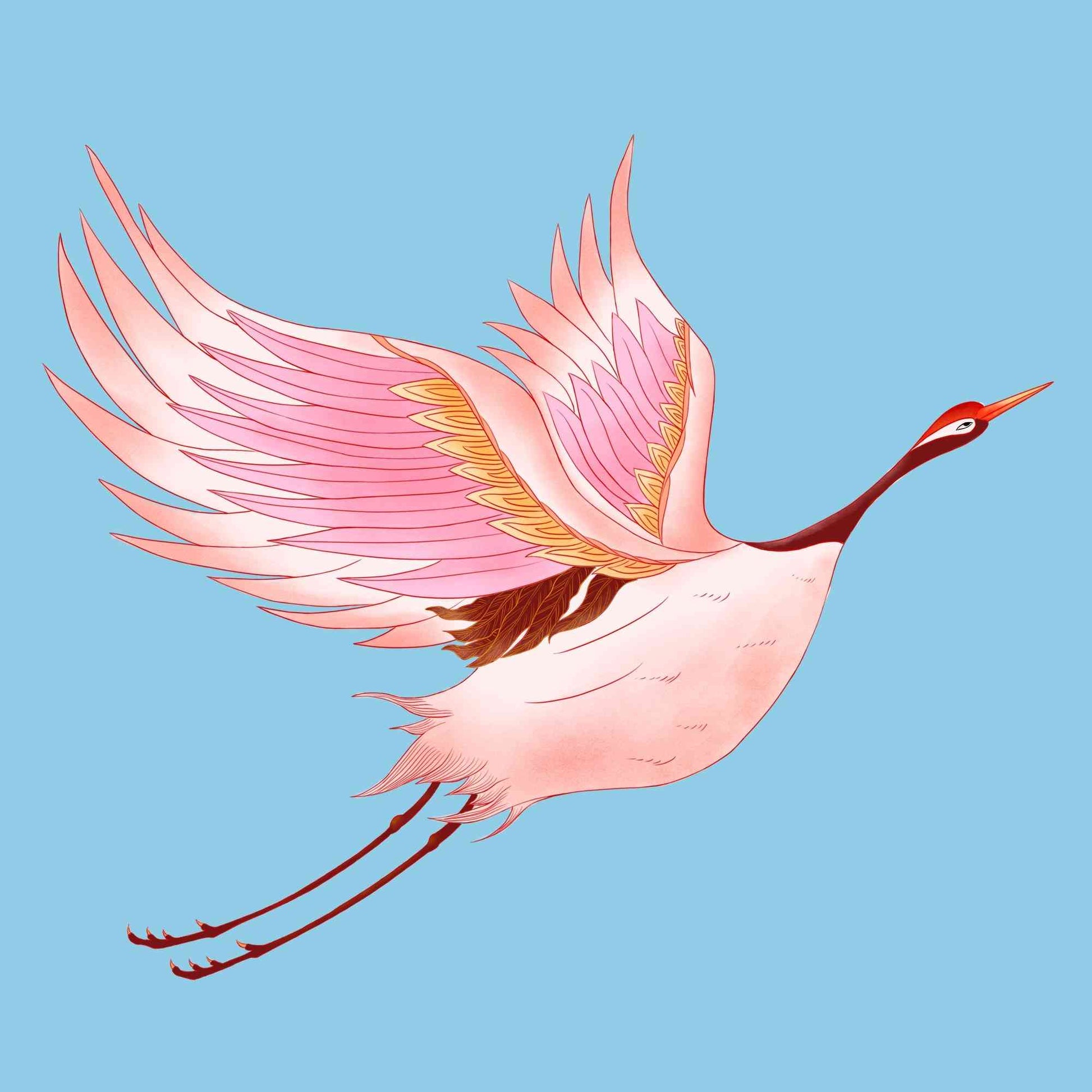 Crane's Grace 6