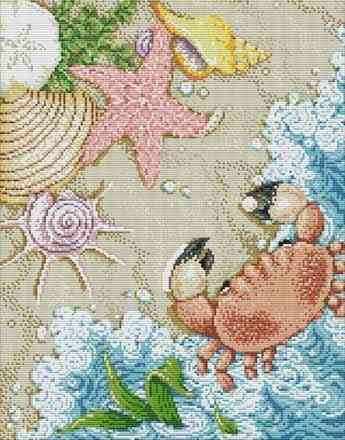 Beach Creatures