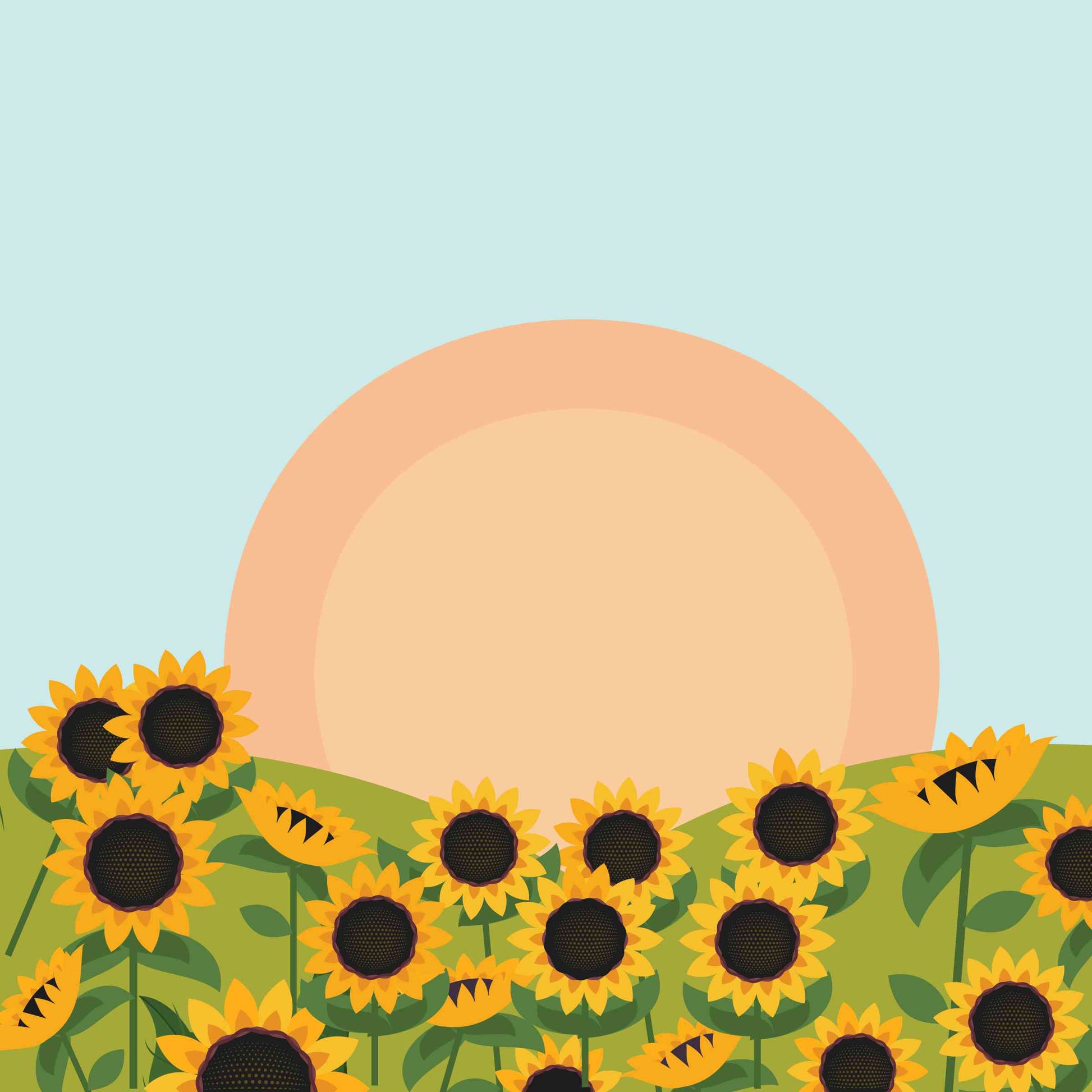 Flower - Sunflower