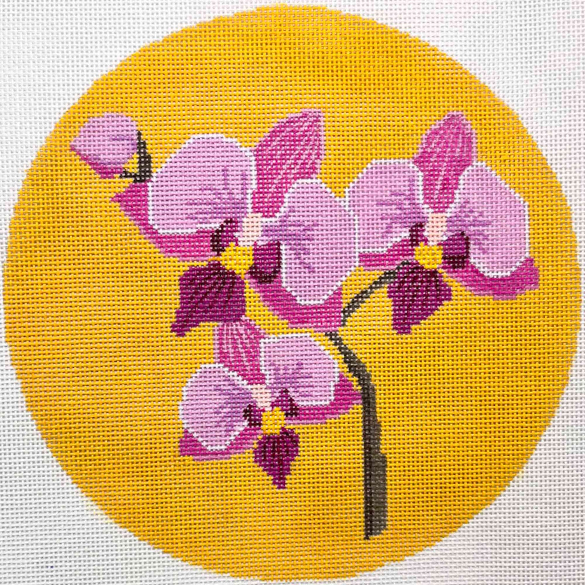 Fuchsia Orchid