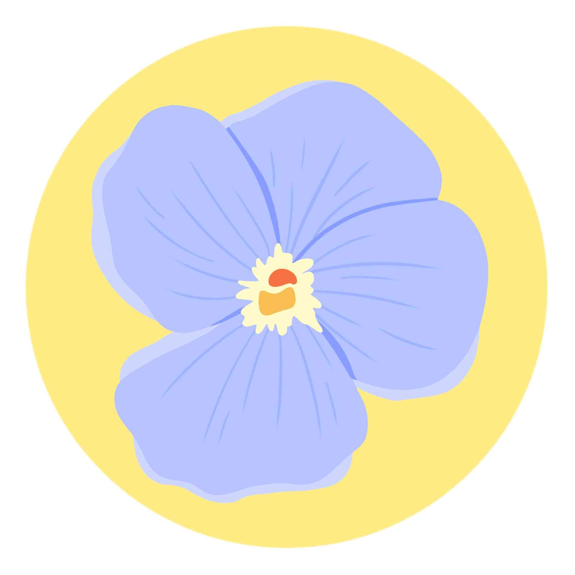 Geranium Flower