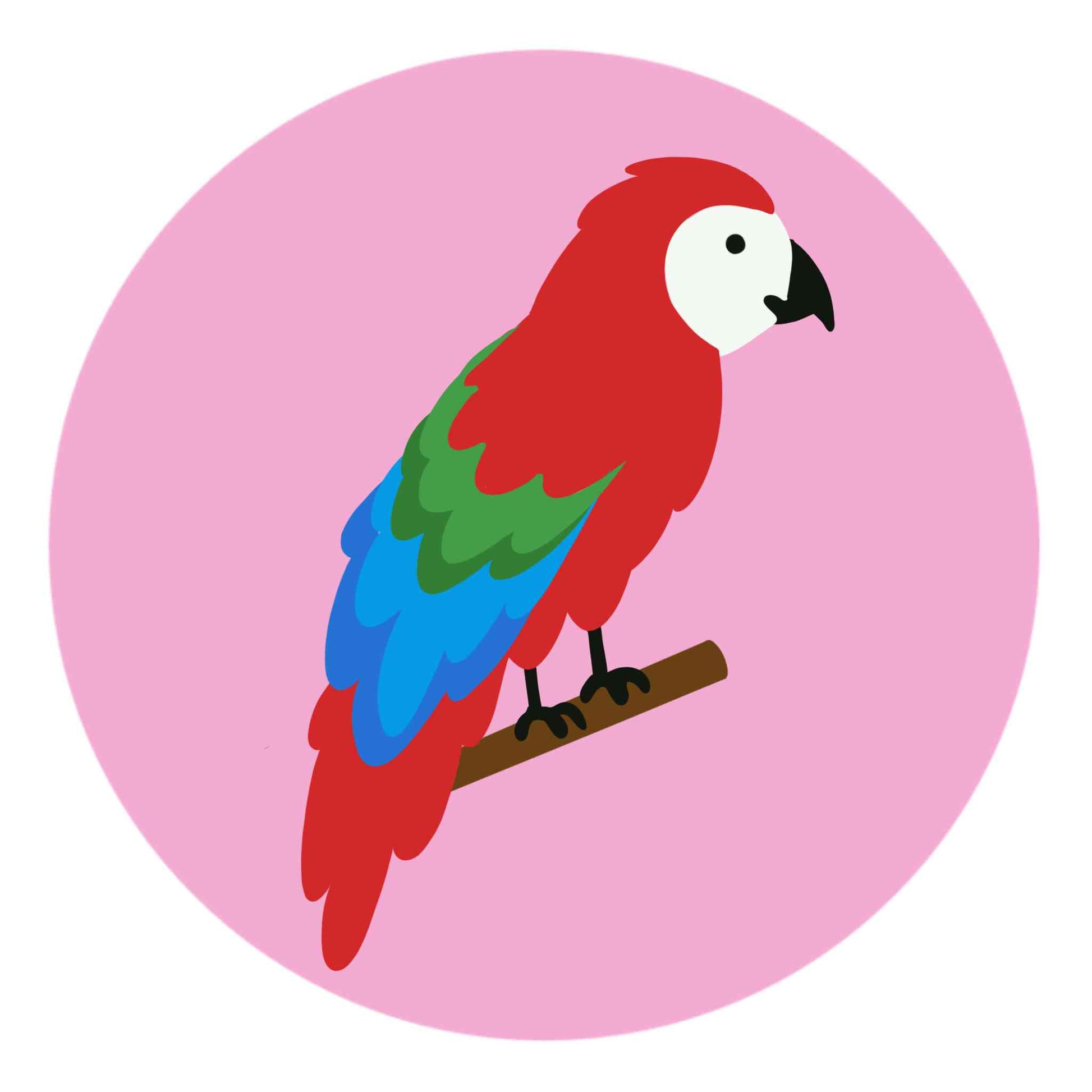 Parrot Bird