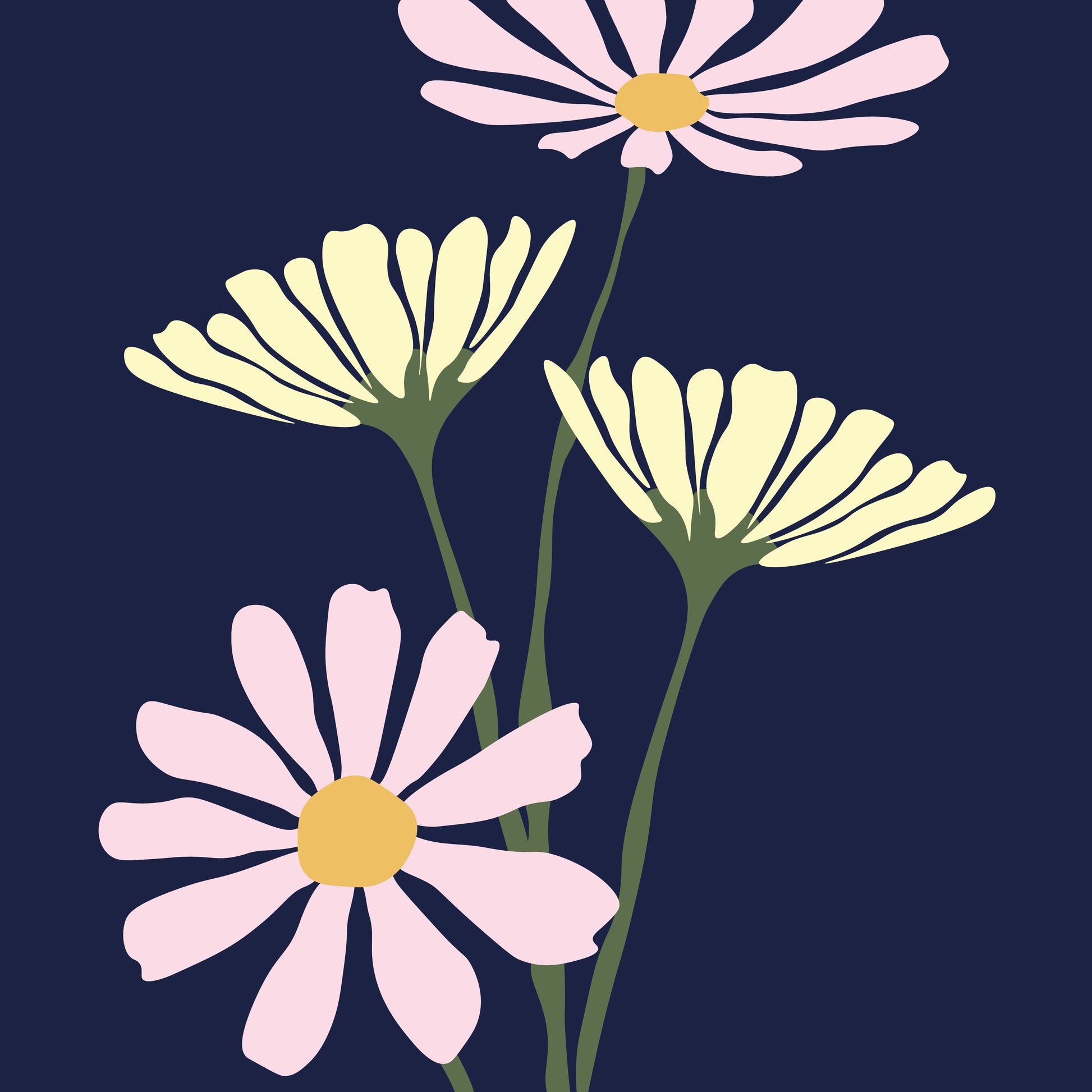 Daisy