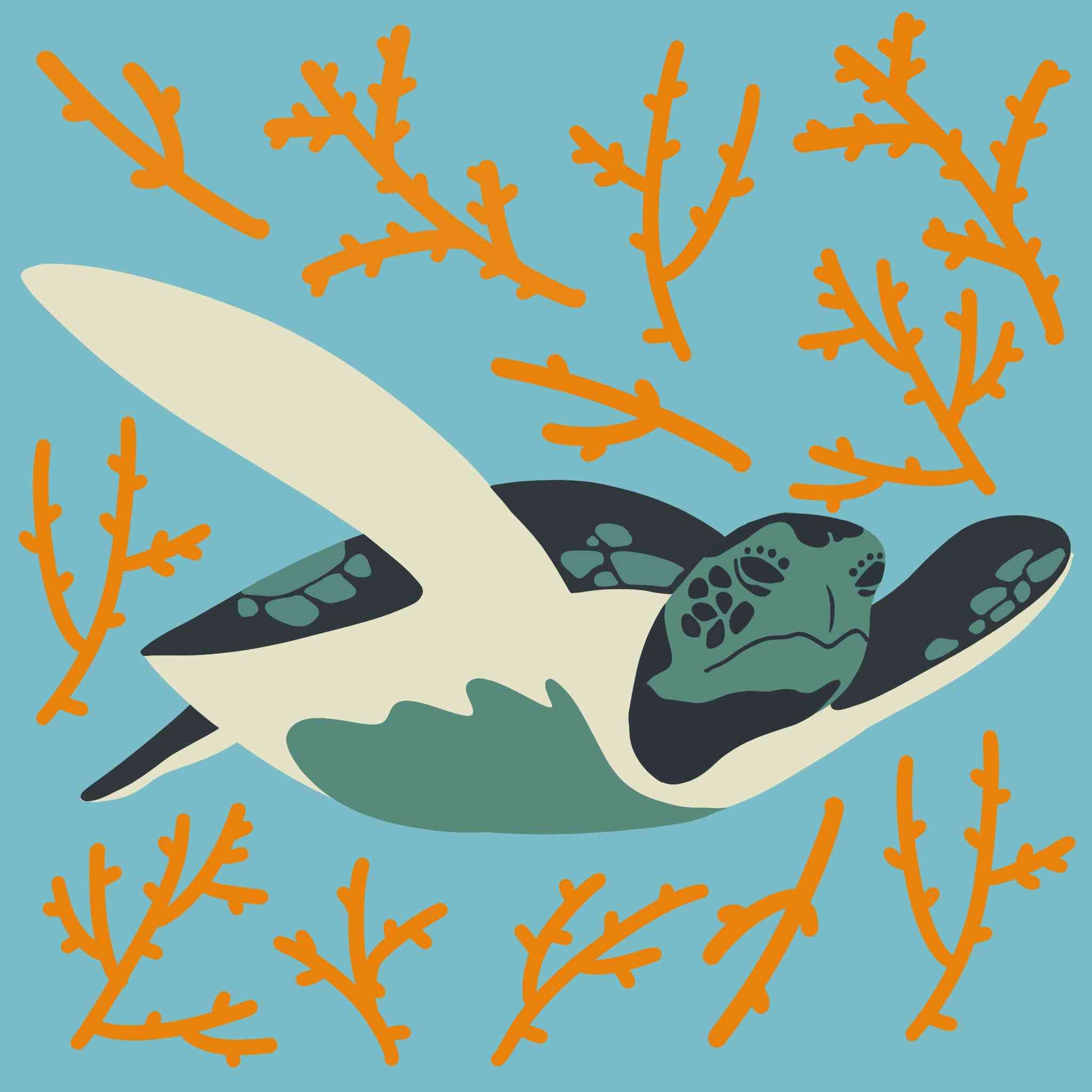 Sea Turtle with Coral Reef Pattern