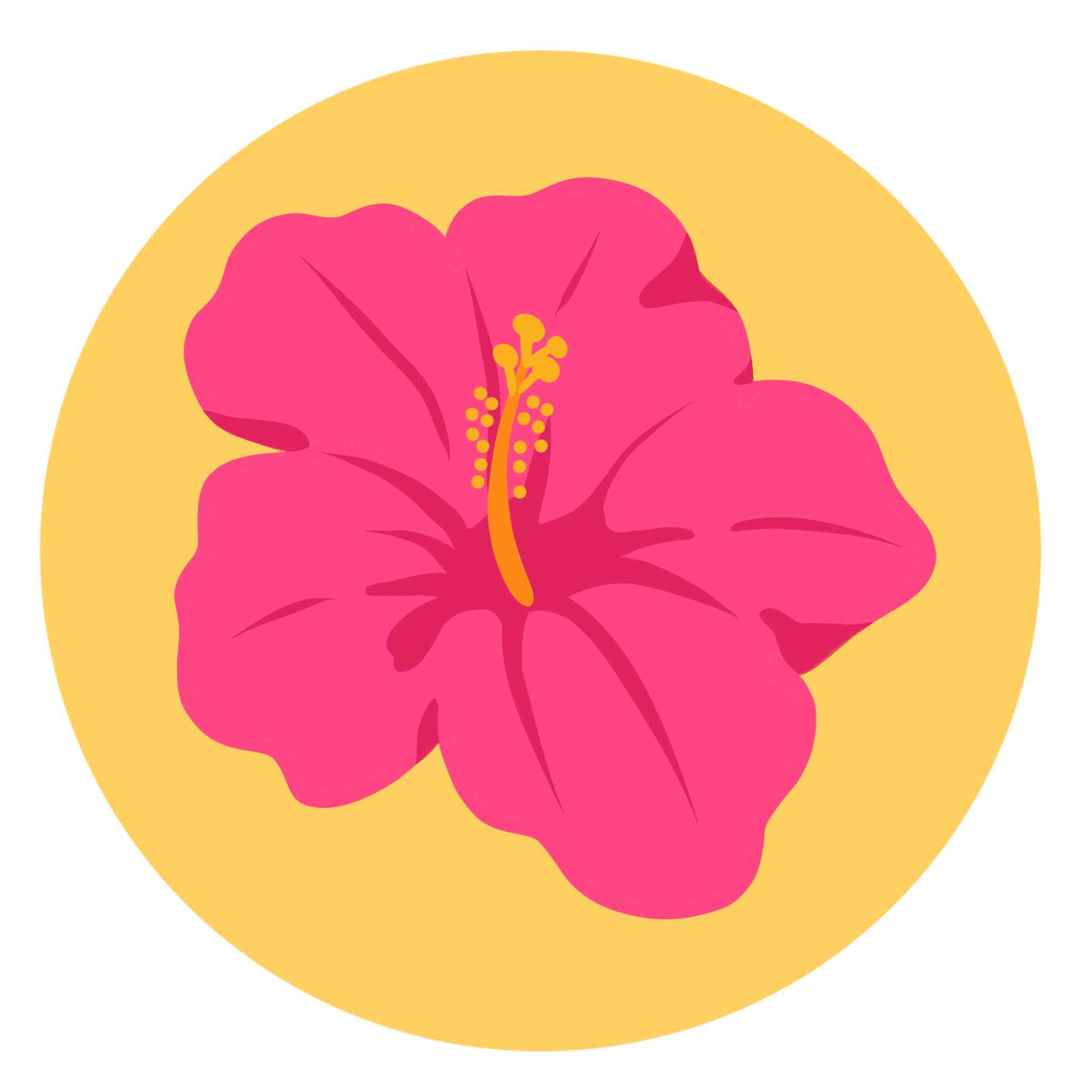 Gumamela Flower