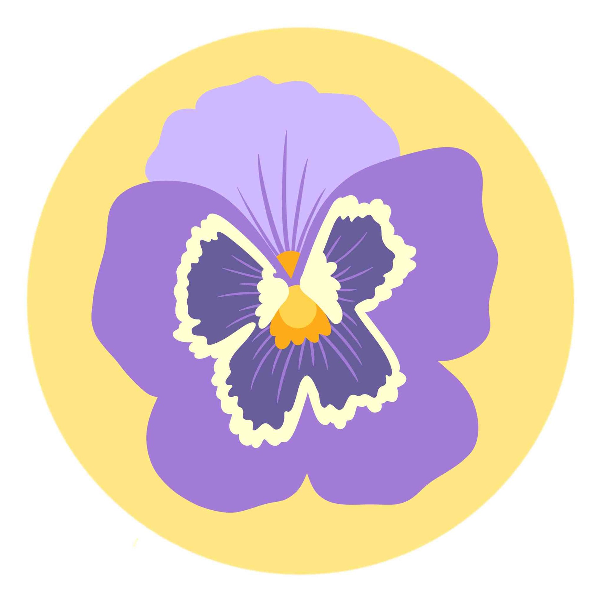 Violet Flower