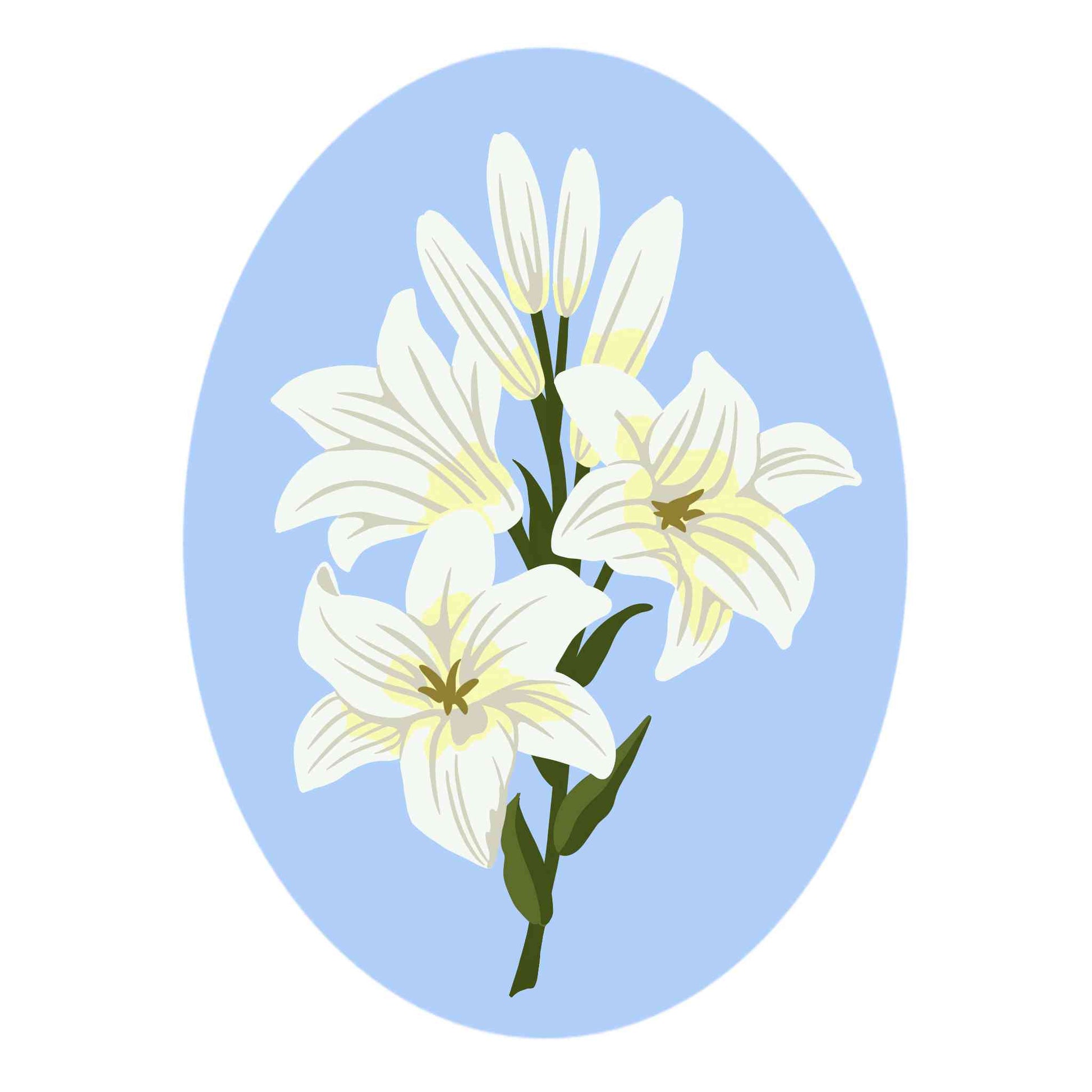 Lily Flower