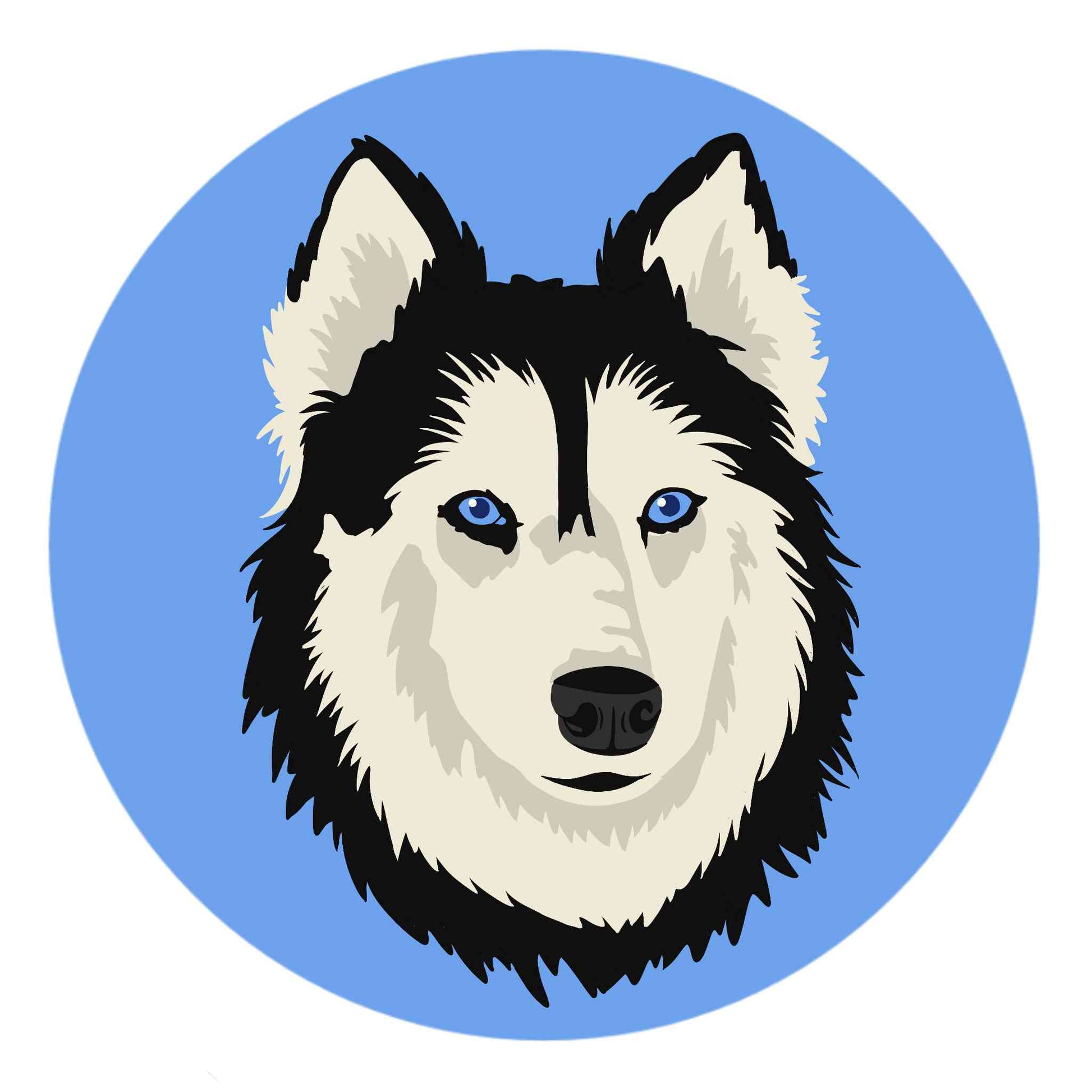 Husky Dog